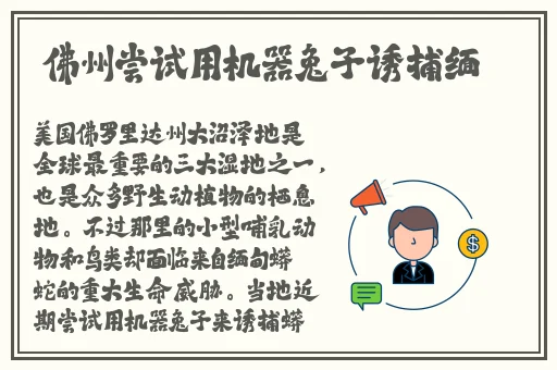 中国体育生宿舍gary飞机